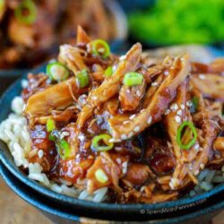 Quick Meals- Asian Honey Chicken Vegetable Stir Fry (2 Individual Portions)