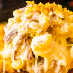 Brisket Mac and Cheese (2 Individual Portions)